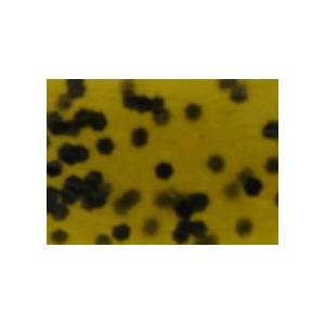 HRL-S-003 Image