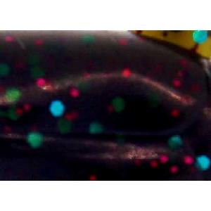 HRL-S-035 Image